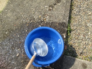 庭のプールの水捨てをホースで簡単にやる方法。狙った場所に排水するから汚れない！