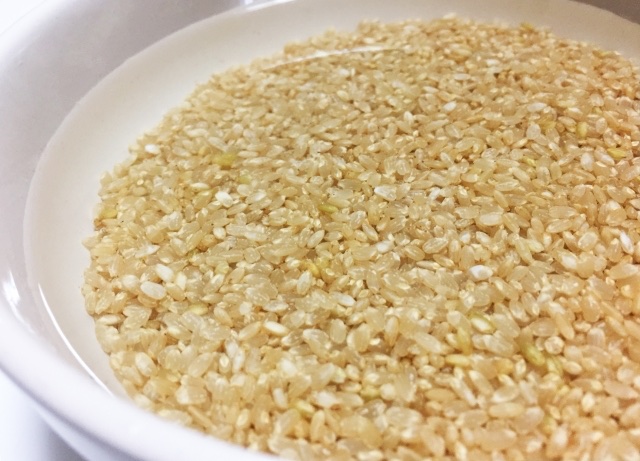 玄米を水につけすぎて臭いときの原因と対処法。水替えやあの調味料をプラス！