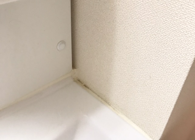 新築入居前の汚れ防止対策でやること、最低限キッチン トイレはやると掃除がラクに！